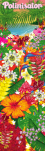 clara-decor-impression-png